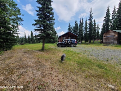 L11 B3 Tri Valley, Healy, AK 99743 - photo 3