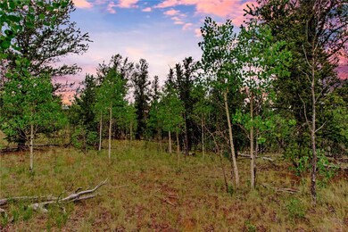 545 Buffalo Ridge Rd, Jefferson, CO 80456 - photo 2