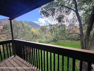 2820 Hager Ln unit 1D, Glenwood Springs, CO 81601 - photo 2