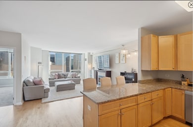 Millennium Centre unit 40D, Chicago, IL 60654 - photo 7