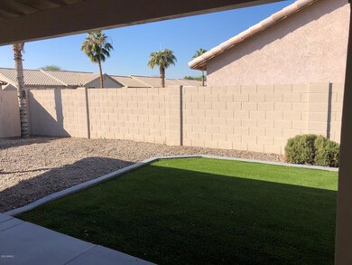 Rear yard 1