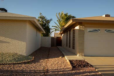Side yard