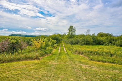 N5314 765th St, Elk Mound, WI 54739 - photo 6