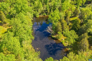 1004 Whispering Pines Ln, Charlottesville, VA 22901 - photo 3