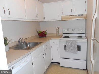 44693 White Oak Ct unit 515, California, MD 20619 - photo 4