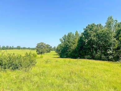 855 Hempstead 56, Hope, AR 71801 - photo 3