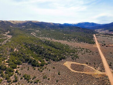 0 Slegers Rd unit 25448913, Fort Garland, CO 81133 - photo 5