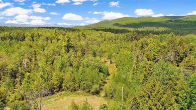 9 Forest View Dr, Effingham, NH 03882 - photo 4