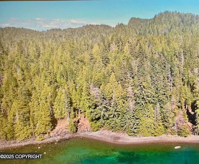 L3B2 Port Protection, Port Protection, AK 99000 - photo 2