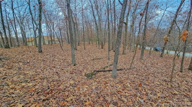 Lot #302 Lake Dr, Jasper Township, MO 65079 - photo 7