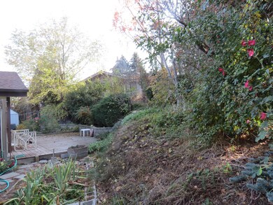 4. BACK YARD