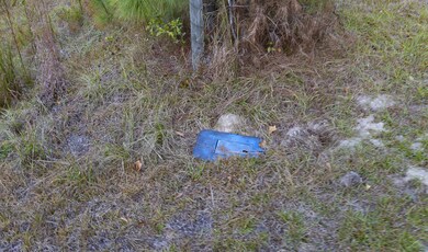 00 Tyler Rd, Orangeburg, SC 29115 - photo 6