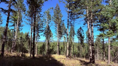 Nhn Soaring Eagle Dr, Whitefish, MT 59937 - photo 4