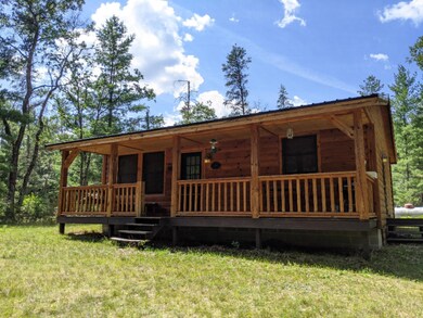 8977 S Jordan St, Idlewild, MI 49642 - photo 2