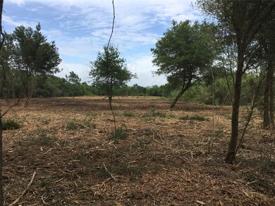 0000 Childs, Alvin, TX 77511 - photo 6