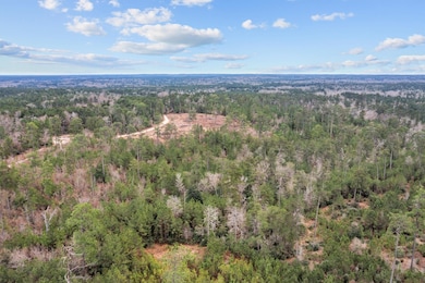 9422 Farm To Market 62, Barnum, TX 75939 - photo 6