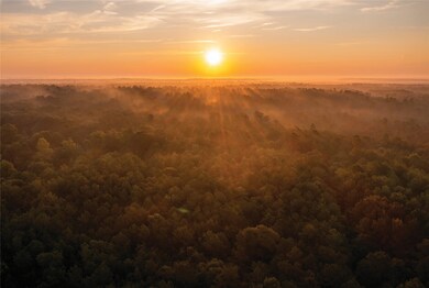 15572 Intrepid Ln, Willis, TX 77378 - photo 7