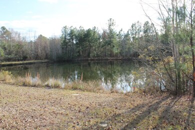 0 Highway 220 unit 449638, Lincolnton, GA 30817 - photo 2