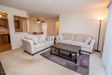 Family Room 3
