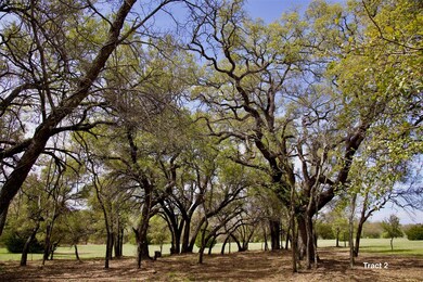 Tract 2 County Road 2311, Decatur, TX 76234 - photo 3