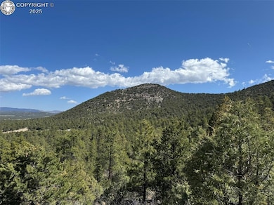 TR-121 19th Trail, Cotopaxi, CO 81223 - photo 7