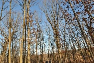 12952 Baker Ct, Crown Point, IN 46307 - photo 3