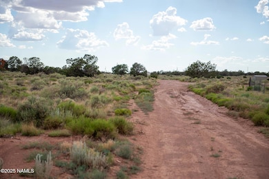 664 E Cimmaron Strip, Valle, AZ 86046 - photo 2