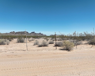 0 W Aries Dr unit 23545562, Eloy, AZ 85131 - photo 4