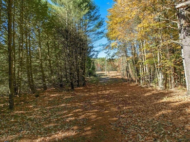 115 Adams Farm Rd, Thornton, NH 03285 - photo 3