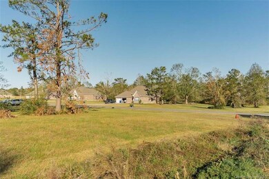 0 Ridgeway Dr unit SWL25002005, Ragley, LA 70657 - photo 4