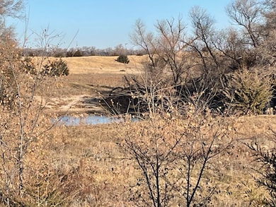 527/871 Ave Rd, Creighton, NE 68729 - photo 3