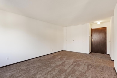 333 8th St SE unit 305, Minneapolis, MN 55414 - photo 5