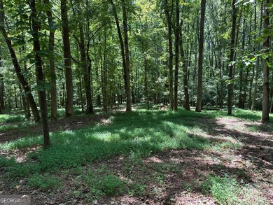 15665 Rowe Rd, Alpharetta, GA 30004 - photo 6