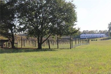 2.02 Acres with Incredible Vineyard Views
