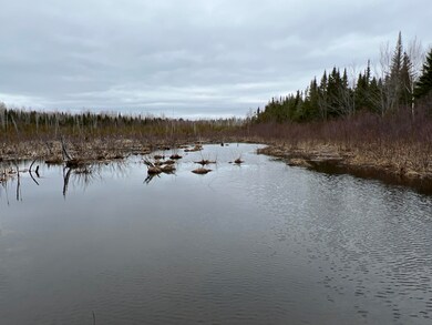 011-010.2 Monument Rd, Amity, ME 04471 - photo 7
