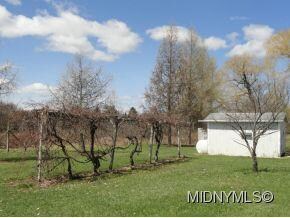 Fruit Trees