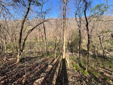 000 Brush Creek Rd, Noel, MO 64854 - photo 6