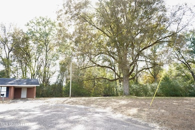 7958 Hebron Rd, Lexington, MS 39095 - photo 5