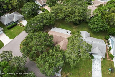 2201 Merion Ct, Spring Hill, FL 34606 - photo 3