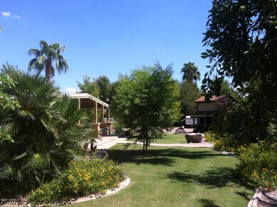 Resort Style Yard