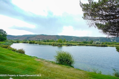 14913 Highway 82 unit 113, Carbondale, CO 81623 - photo 7