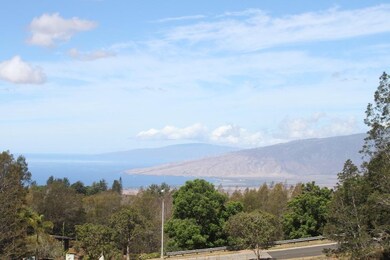 0 Lower Kimo Dr unit 392916, Kula, HI 96790 - photo 3