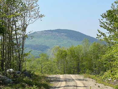 IMG-6844