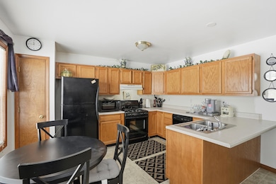 7736 E 108th Ave unit A, Crown Point, IN 46307 - photo 7