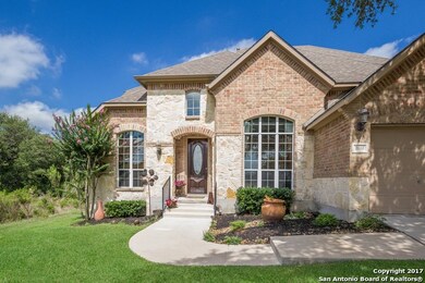 9110 Arroyo Hondo, Helotes, TX 78023 - photo 2