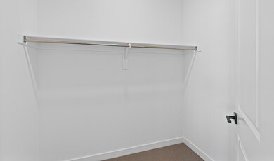 Primary Walk-In Closet