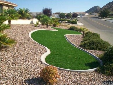 Faux grass in front yard.