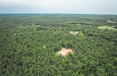 12828 Cadle Rd, Sherrill Township, MO 65542 - photo 5