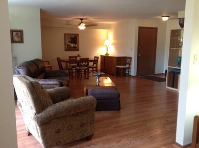 1501 Harbour Ct unit 1B, Schaumburg, IL 60193 - photo 5