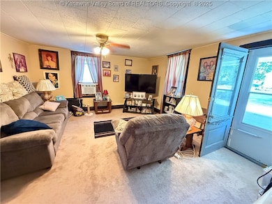 451 4th St, Mason, WV 25260 - photo 7